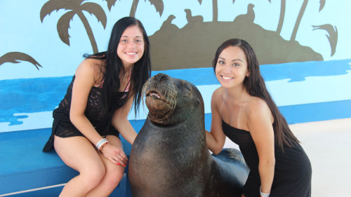 Coral World Ocean Park Animal Encounters