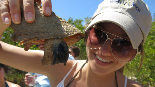 Kayak, Hike & Snorkel in St Thomas