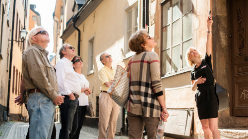 Old Town Walking Tour, Vasa Museum & Djurgården Island