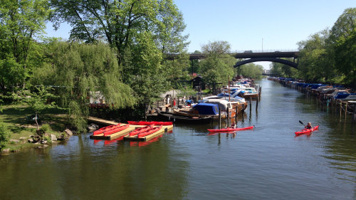 Kayak Rental