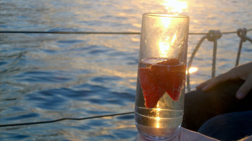 Sunset Sailing Cruise on Sydney Harbour