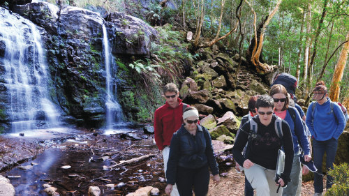 Blue Mountains & Valley of the Waters Half-Day Hiking Tour