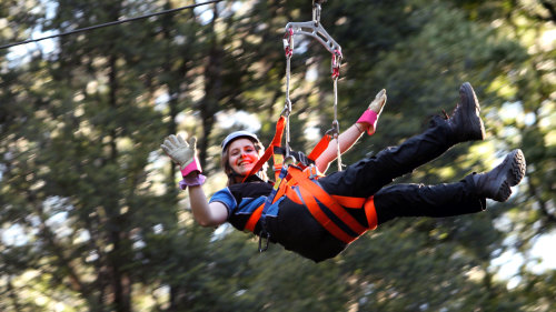 Illawarra Zipline Adventure Tour & Treetop Walk