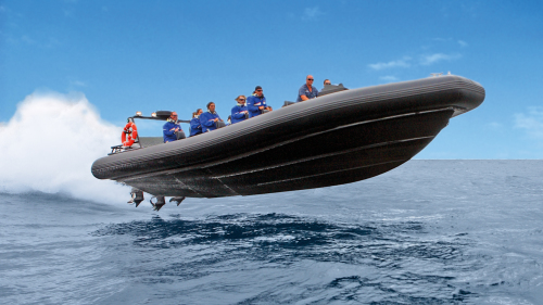 Speed Boat Ride & Sightseeing Tour to Bondi Beach