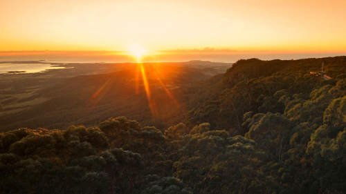 Sunrise Rainforest Tour by Illawarra Fly Treetop Adventures