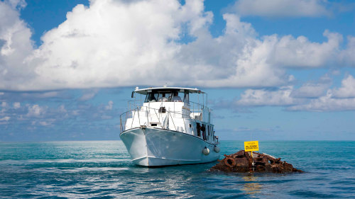 Glass-Bottom Boat Cruise