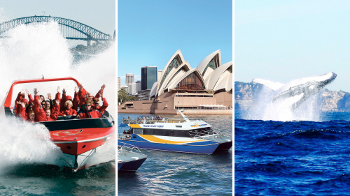 Sydney Attractions Pass & Whale-Watching Cruise