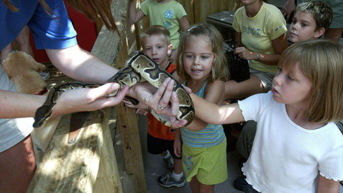 The Florida Aquarium Admission