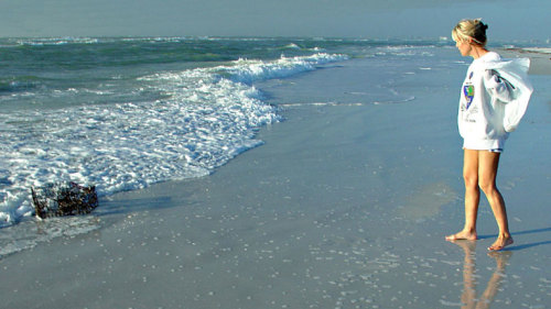 Shell Key Island Excursion with Snorkeling