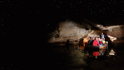 Te Anau Glowworm Caves Tour by Real Journeys