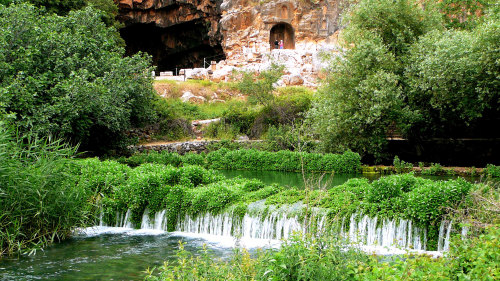 Biblical Highlights Full-Day Tour from Jerusalem