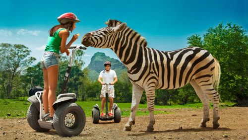 Casela Nature Park Segway Tour