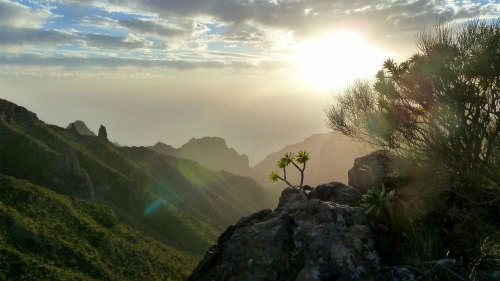 Tenerife At Your Feet Full-Day Excursion