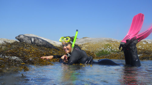 Seaplane Flight to Nanaimo & Snorkel with the Seals Tour