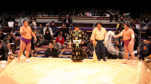 Private Day in the Life of a Sumo Wrestler Tour
