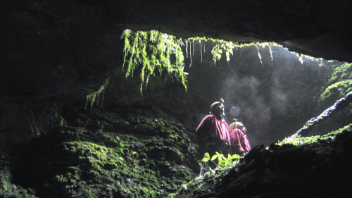 Glowworm Cave Tour by Underworld Adventures