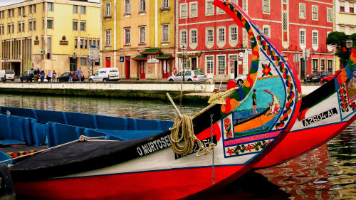 Aveiro Half-Day Tour