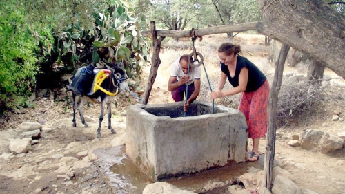 A Day in the Life of a Berber with Lunch