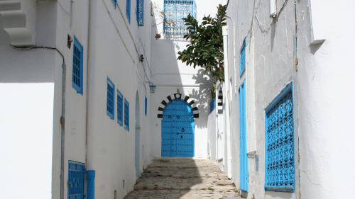 Tunis, Carthage & Sidi Bou Said Full-Day Tour with Lunch