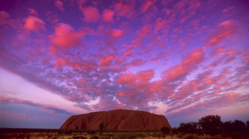 Uluru Adventure Day Tour