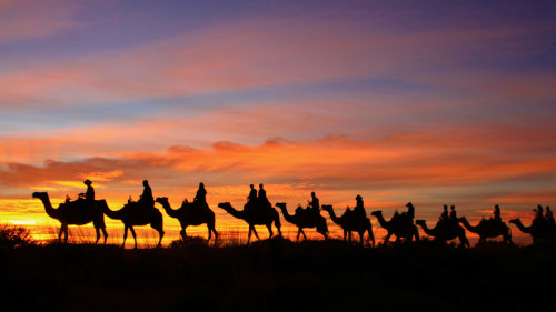 Uluru Sunrise Camel Tour