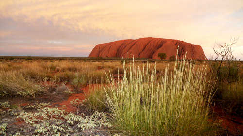 3-Day Kings Canyon & Uluru Explorer Tour by AAT Kings