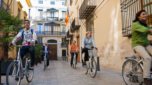 Guided City Bike Half-Day Tour