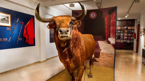 Plaza de Toros de Valencia & Bullfighting Museum with Audio-Guide