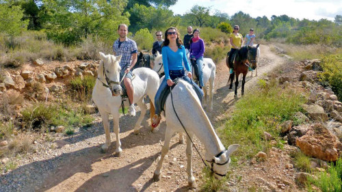 Horseback Riding & Local Museums by Trip4Real