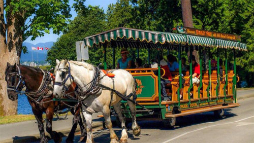 Horse-Drawn Carriage Tour of Stanley Park