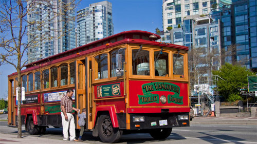 City Trolley Tour & Observation Deck