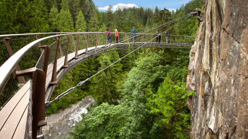 North Shore Capilano Bridge & Grouse Mountain Tour