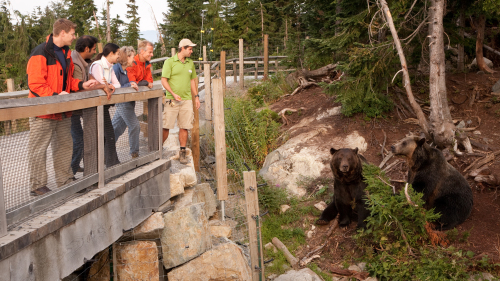 Private Grouse Mountain Alpine Adventure