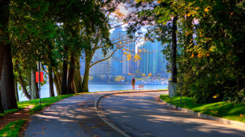 Walking Tour in Coal Harbour & Stanley Park