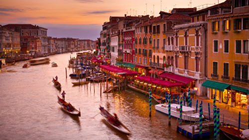 Venice in 1 Day Highlights Tour