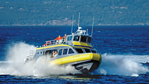 Victoria Whale-Watching, Butchart Gardens & Cruise