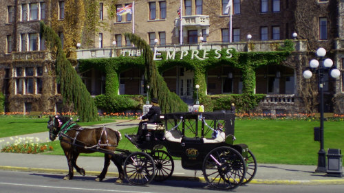 Comprehensive Horse-Drawn Carriage Tour