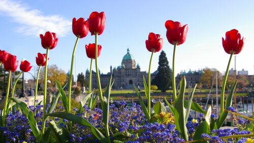 Victoria City Tour & Butchart Gardens Visit