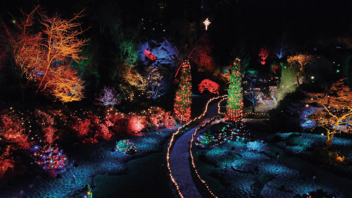 Butchart Gardens Holiday Lights Tour