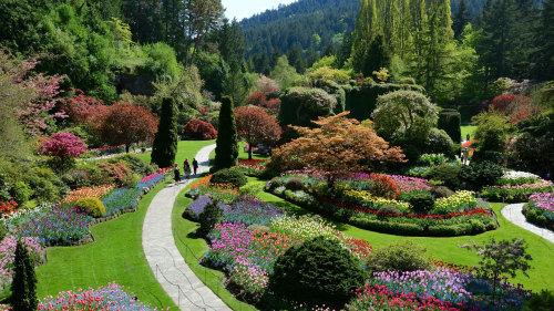 Victoria & Butchart Gardens Tour