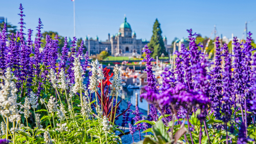 Private Tour of Victoria & Butchart Gardens