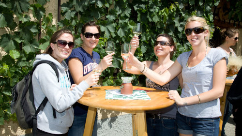 Wachau Valley Bike Tour & Wine Tasting