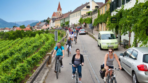 Small-Group Winetasting Bike Tour in the Wachau Valley
