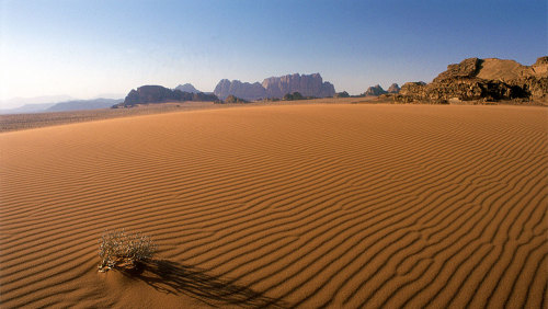 Wadi Rum Desert Private Full-Day Tour