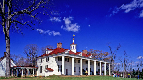 Mount Vernon & Arlington National Cemetery Full-Day Tour