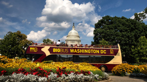 Panoramic Night Tour by Big Bus