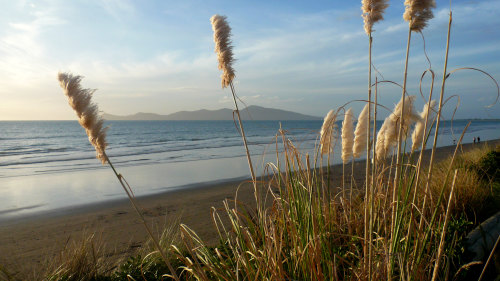 Kapiti Nature Coast Tour