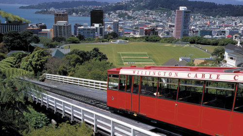 City Tour by Wellington Rover Tours