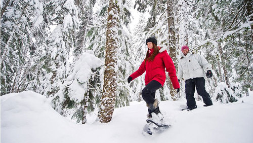 Snowshoe Tour of Medicine Trail