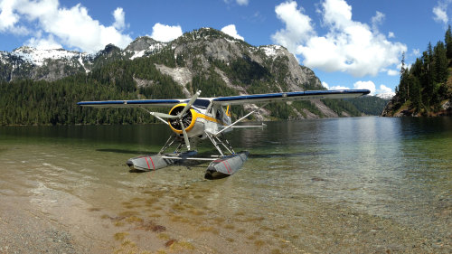 Alpine Lake Picnic & Tour by Floatplane
